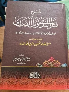 مختصر قطر الندى وبل الصدى