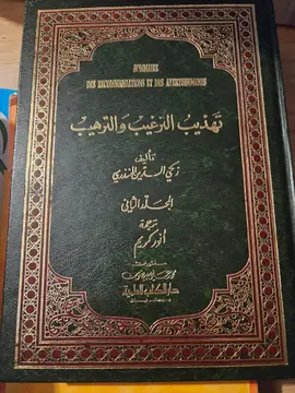 تهذيب الترغيب والترهيب