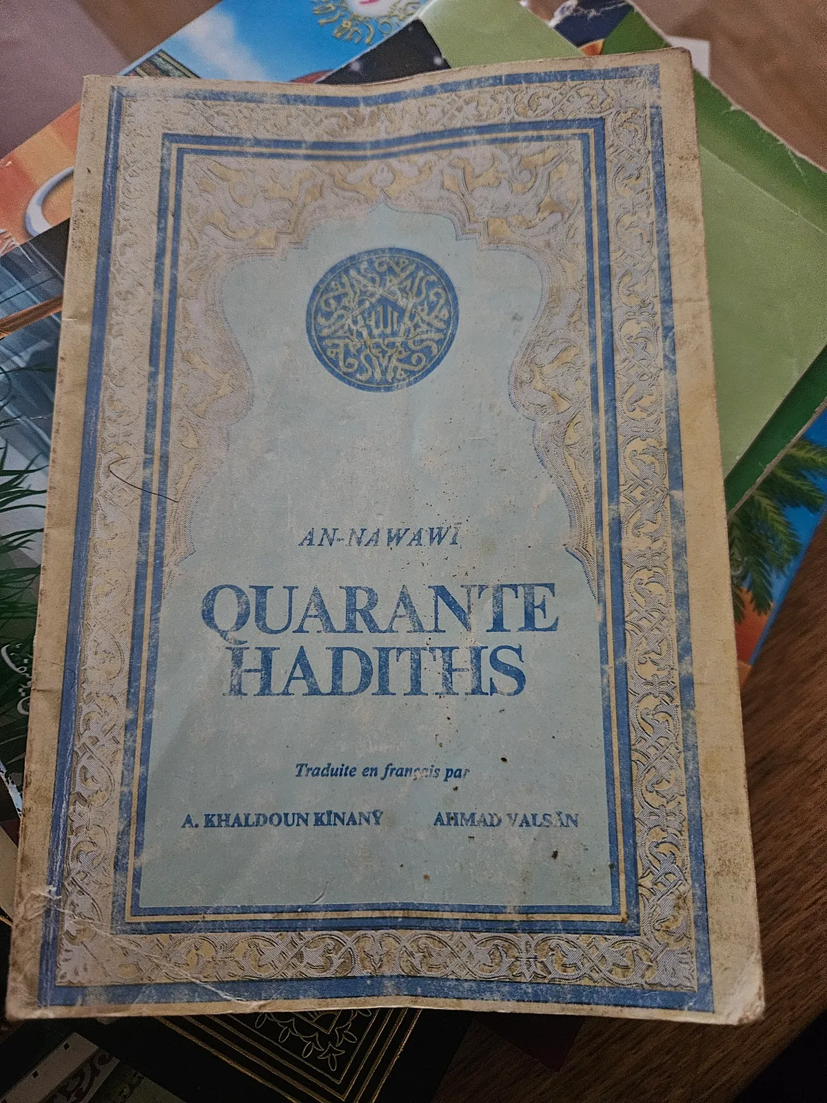 Photo du livre