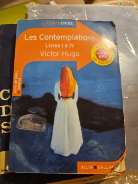 Les Contemplations