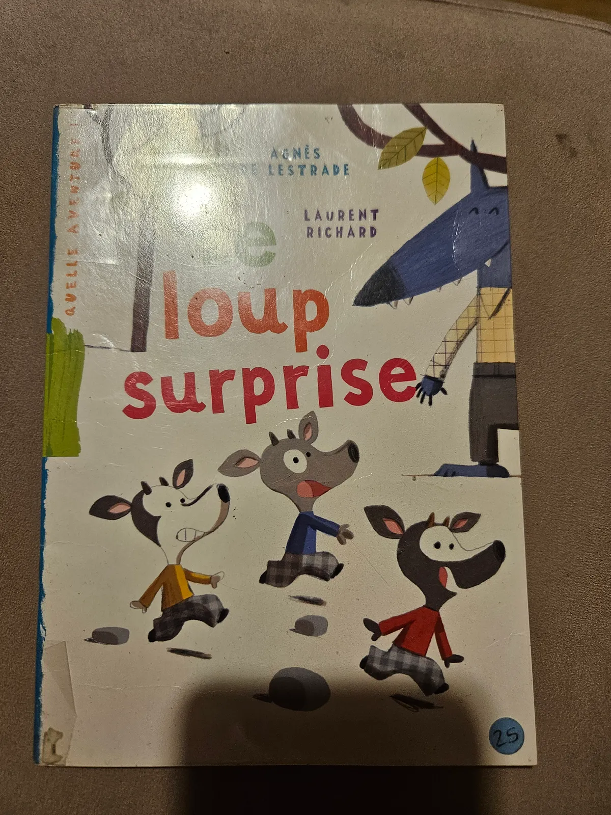Photo du livre