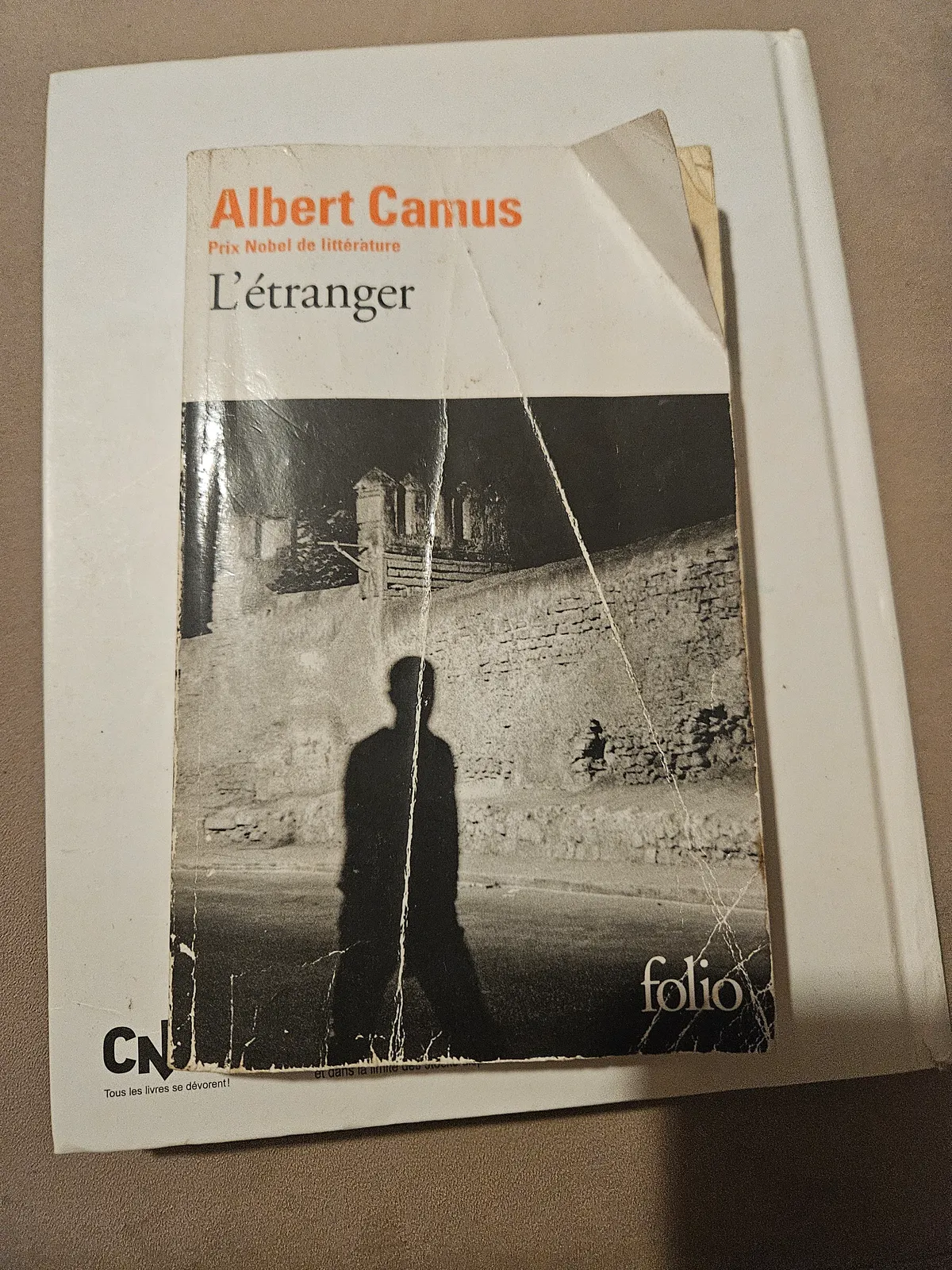 Photo du livre