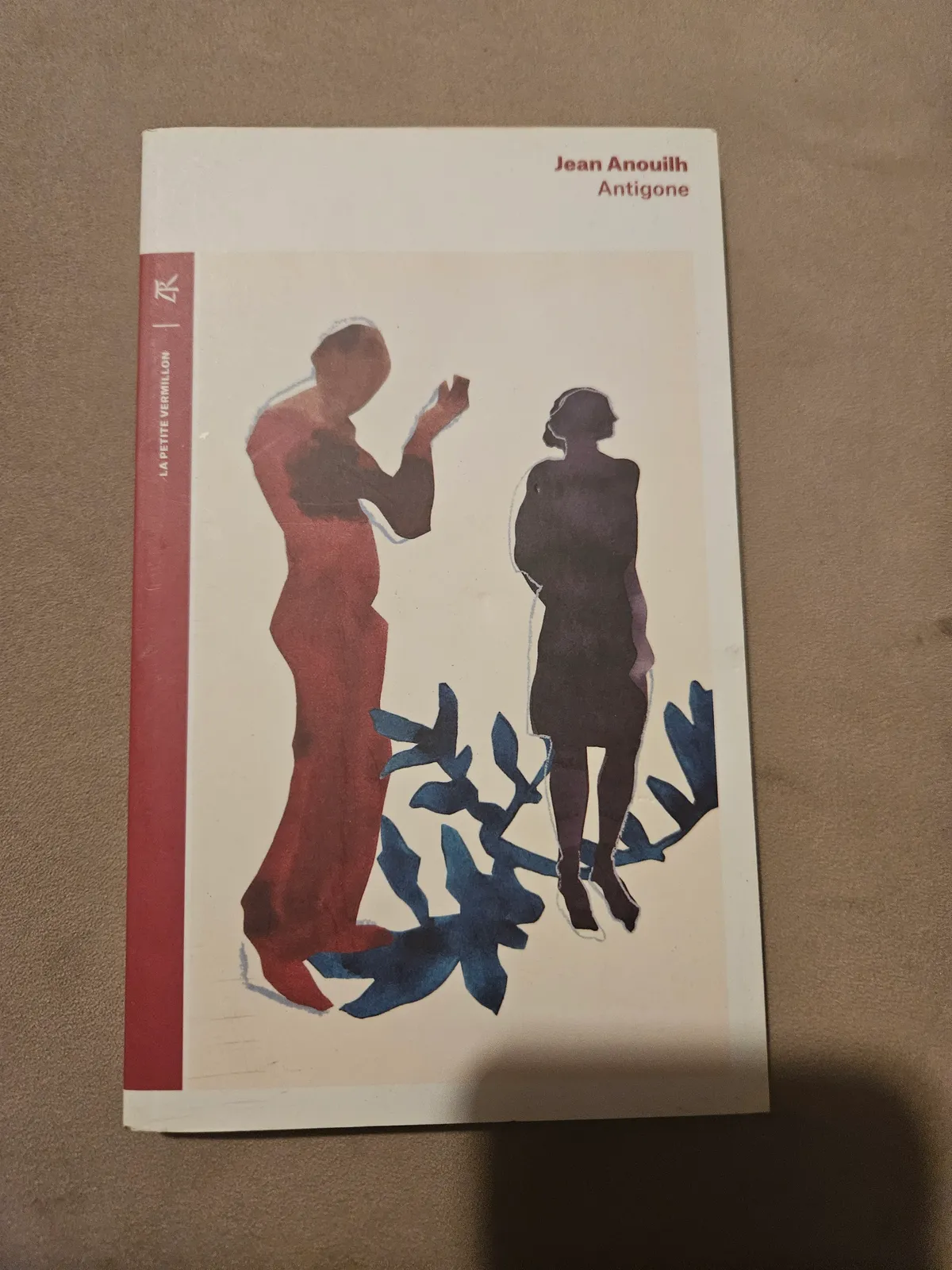 Photo du livre