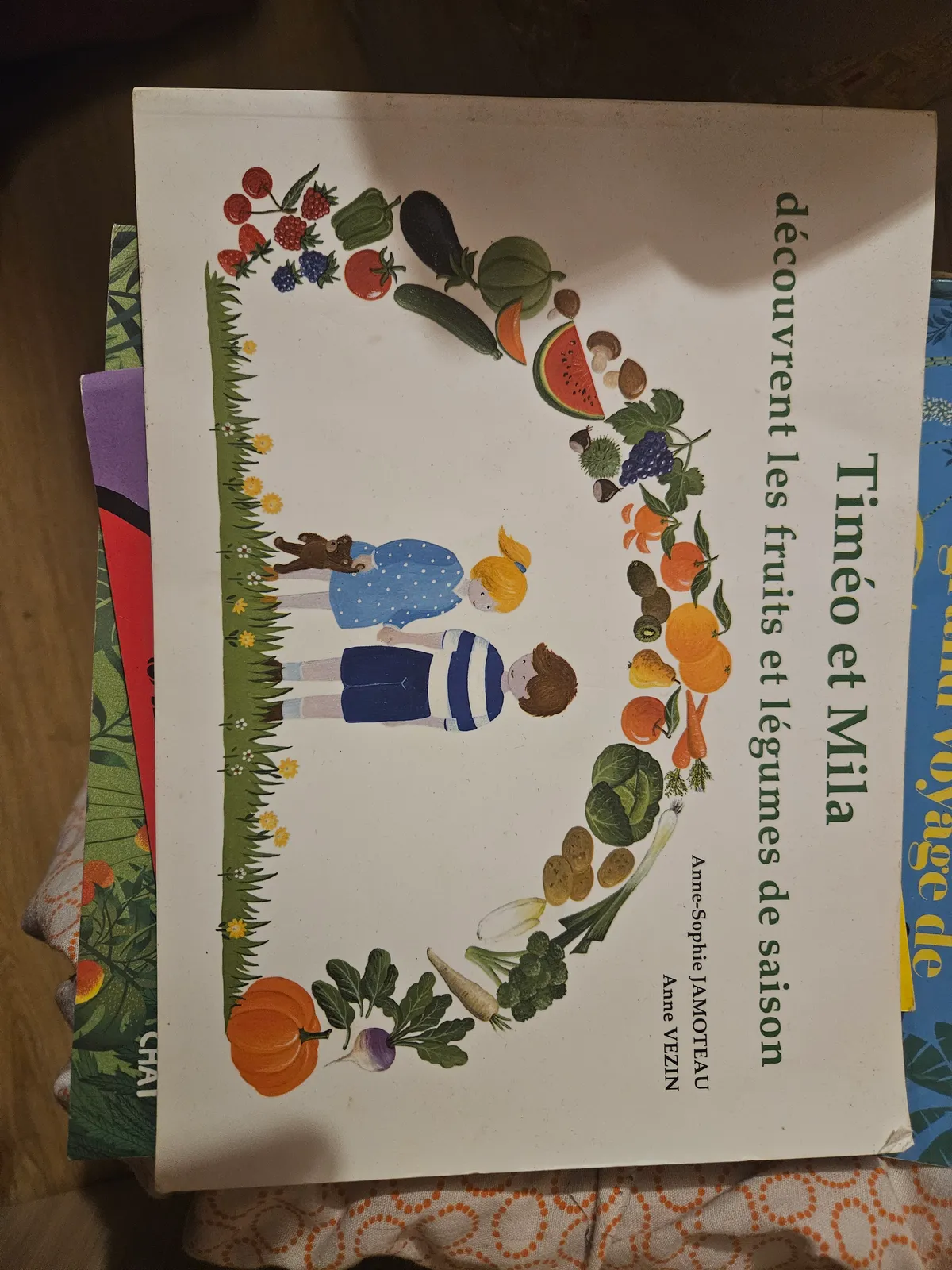 Photo du livre