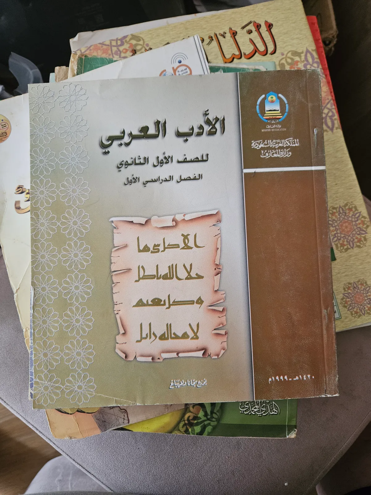 Photo du livre