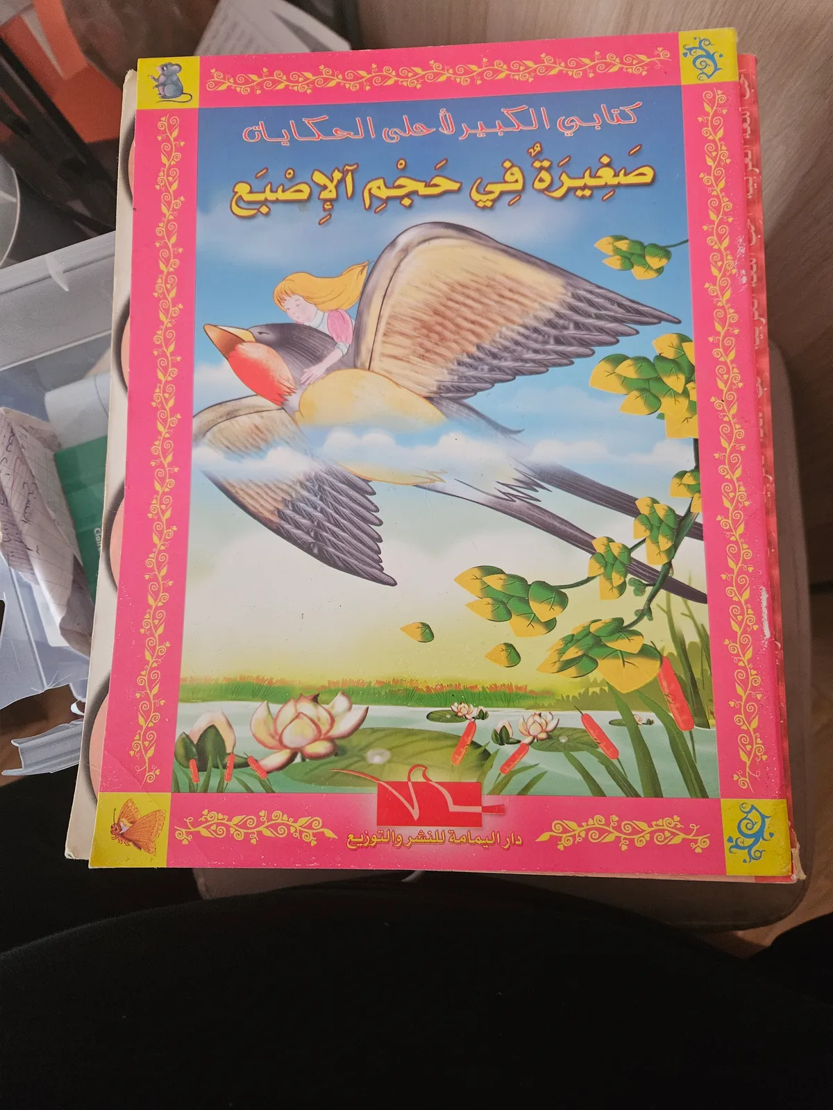 Photo du livre