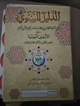 الدليل النسوي
