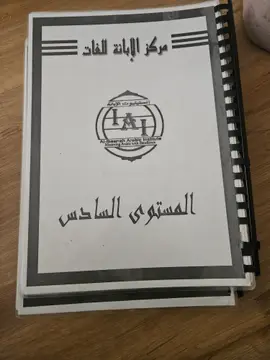 المستوى السادس