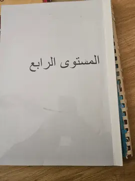 المستوى الرابع